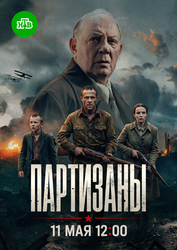 Партизаны - постер